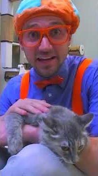 Blippi Cuddles a Sleepy Kitten 😻#Shorts