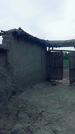 BeBe Jan (@bebe_vines)’s videos with Pashto Sitar Saaz - Saieen Baba