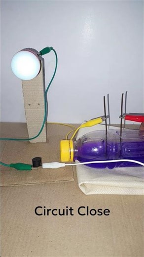 Salt Water Switch | Mercury Switch Demo | Electronic Hobby 167