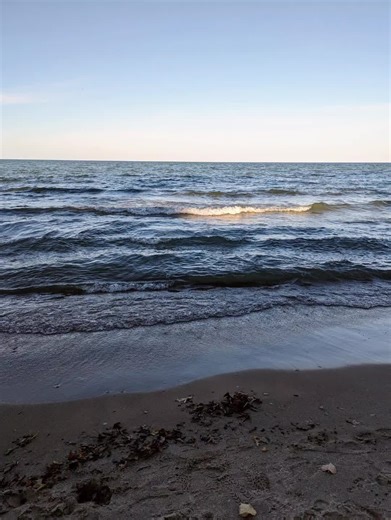 embrace this moment. #fy #fypシ #presently #newday #newness