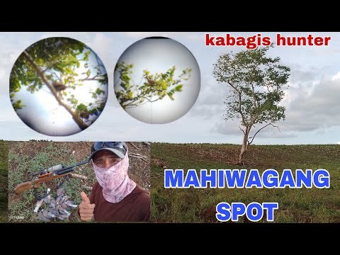 PCP AIRGUN HUNTING // MAHIWAGANG SPOT #kabagishunter