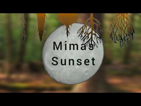 старые корни - ERASED FACES (ANALOG HORROR)