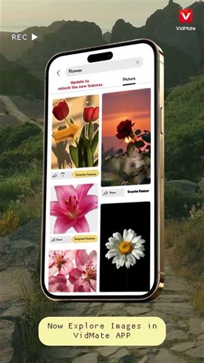 Explore different features in VDM | VidMate 2026 | VidMate Latest Version | VDM 2026