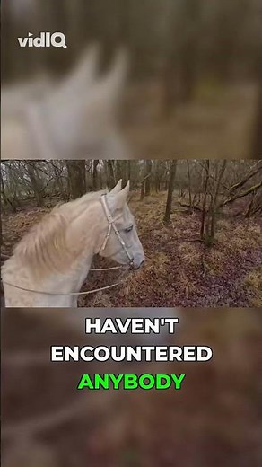 Hedge Knight? The TRUE Medieval Term Revealed!