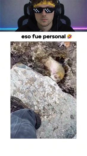 Intenta No Reír Pt. 33 😹🤣 #siteriespierdes #humor #intentanoreír #risas #gracioso #chistoso