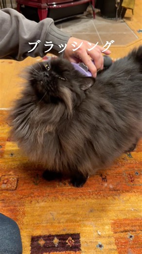 毛玉ボールの作り方