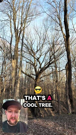 Pinhook Bog Trail Tour