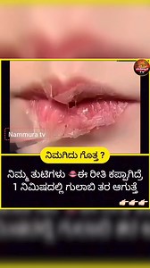 interesting and amazing genral knowledge facts in kannada #knowledge #gk #education #facts #lifestyle #fruits #lifestyles #gkkannada #gkadda #motivationalspeaker #motivation #kannada #mysore #bengaluru #karnataka #udupi | Nation Tv kannada