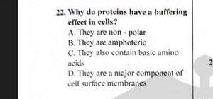 Why do proteins have a buffering effect in cells?A. They are n... | Filo