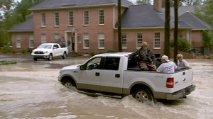 Will Insurance Cover the Losses?