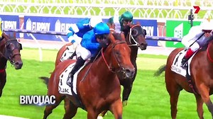 We pay tribute to the Group 1 retiring class of 2021. Enjoy the next chapter! | 7HorseRacing