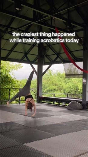 I CANT BELIEVE IT! I finally learned a cartwheel entrance to flash kick!!! #gymnastics #acro