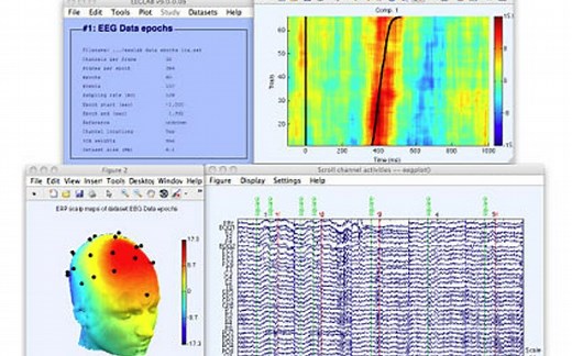 第二期：使用Matlab和eeglab进行脑电数据分析与数据提取