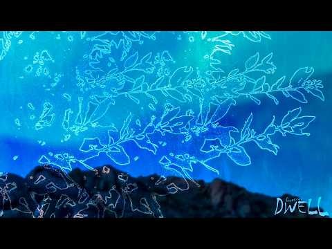 Quetzer - "Dwell" (FULL ALBUM)