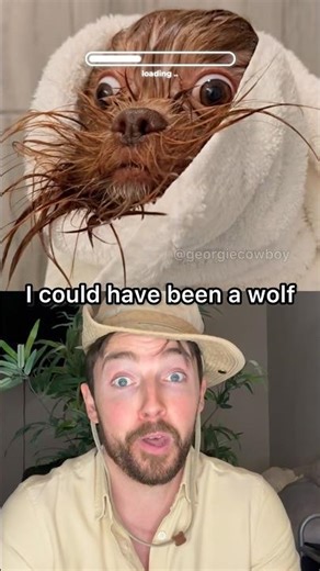 bro is evolving in reverse #dogs #evolition