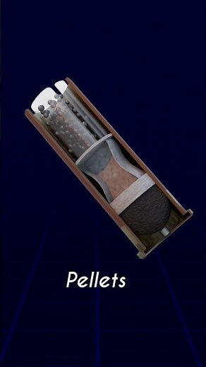 How Does a Shotgun Shell Work?