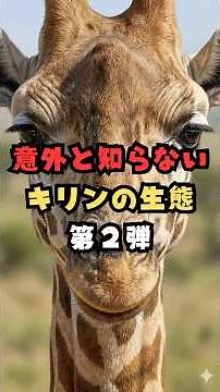 意外と知らないキリンの生態 第2弾#自然 #雑学 #動物 #キリン