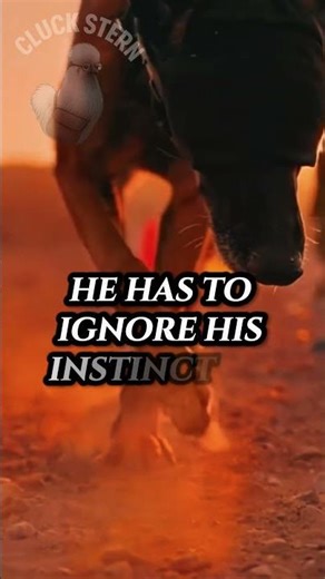 K9 Trusts Handler With EVERYTHING 💯 #shorts