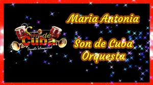 3.7K views · 209 reactions | Maria Antonia - Son de Cuba Orquesta salsa version con letra #SalsaRomanticadePrimerNivel | Salsa Romantica de Primer Nivel | Facebook