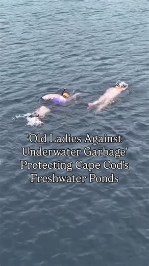 Matt Reed | The 'Old Ladies Against Underwater Garbage' have removed 5,000 lbs of trash from Cape Cod ponds, and they have no sign of slowing down... | Instagram