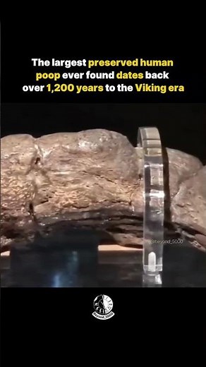 The 1,200-Year-Old Viking Poop That Shocked Scientists. #beyond5000 #history #vikings