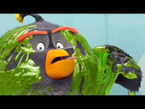 Ewww! Bomb Ate Something Weird Again | Angry Birds l Sponsored by Gamavision Csupo Effects