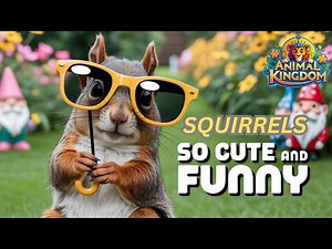 Squirrel Comedy Gold: The Funniest Clips You Can't Miss! |"Squirrel Moments That'll Make You Smile!"