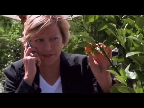 SOKO 5113 Staffel 25 Folge 12 Match over