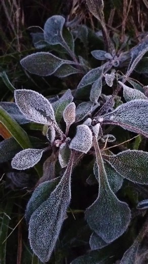 おすすめのアカウント