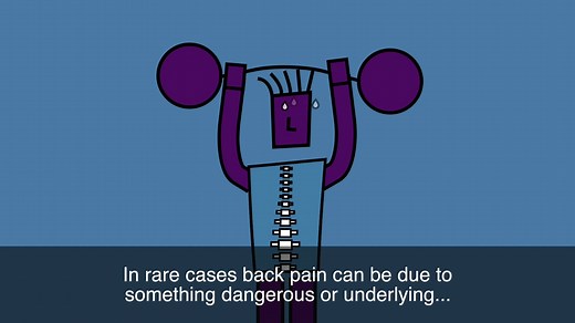 173K views · 698 reactions | Our new animation gives expert physio...