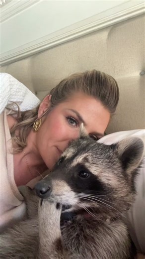 Adorable Baby Raccoon Video - Heartwarming Moments Captured