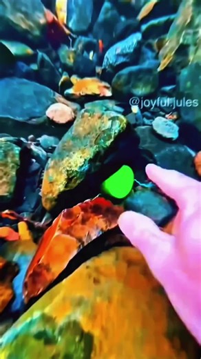 Explore the Sea: A Dive into Underwater Wonders