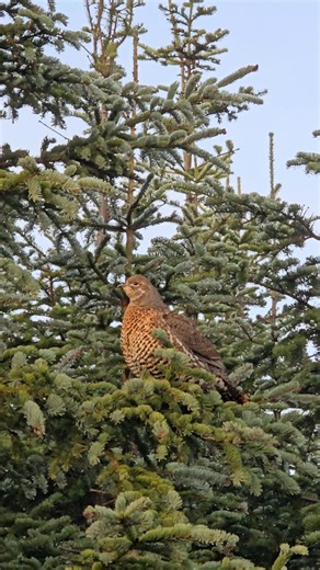 Aventure Sylvain Cousin Guide on Reels