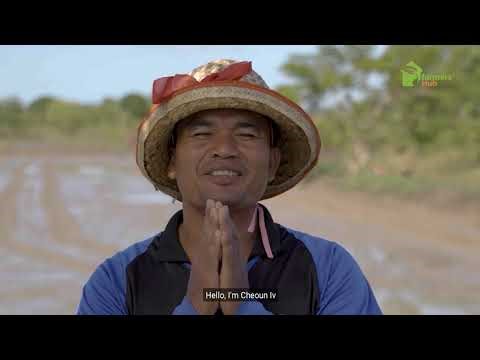 Cambodia: Delivering solutions to farming communities
