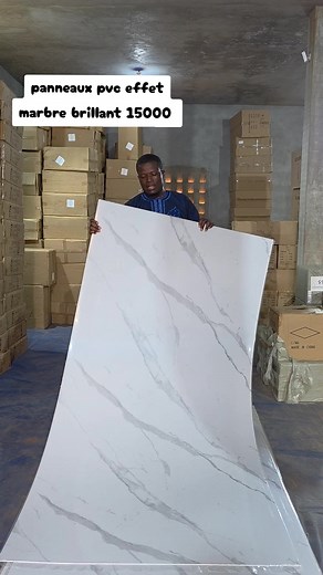 Panneaux PVC pour Décoration Murale de Luxe