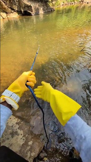 Magnet Fishing the Lake for Hidden Treasure! 🧲💰#magnetfishing#emagnetism #magnet #viralvideos