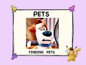 FINDING PETS