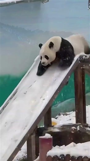 👉Amazing fact about China🇨🇳😱#worldiscrazy