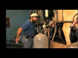 Deep Valley Farm - Fight Bac