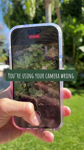 The zoom one is 👌 #apple #iphone #iphonetips #iphonetricks #shotoniphone #camera #tech #techtips #tipsandtricks