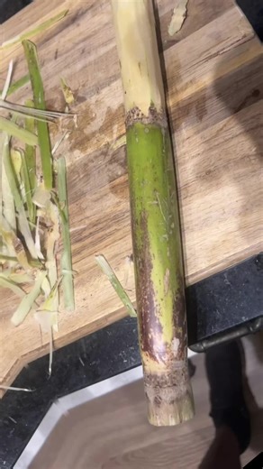 Made some molasses from cane sugar because why not #sugarcane #sugar #cheftok #foodlover #cookingathome