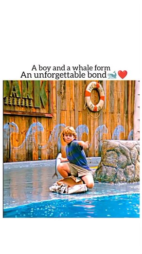 Entertaining Scow on Instagram: "🎬 Free Willy (1993) 📖 Summary Directed by Simon Wincer, Free Willy follows the emotional journey of Jesse, a troubled young boy who forms an unexpected bond with Willy, an orca trapped in a marine park. As Jesse learns Willy is in danger, he risks everything to pull off a daring rescue and set the whale free. A heartwarming classic about friendship, courage, and freedom. 📺 Where to Watch Prime Video / Apple TV (varies by region) #FreeWilly #1993 #MovieSummary"