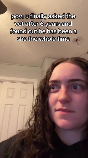 Discovering the True Gender of My Blue Tongue Lizard Compilation