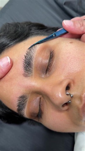 Brow Lamination: O Design de Sobrancelhas que Você Precisa Conhecer