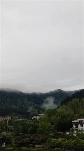 老屋后背的花真格好靓😀不知叫麦格花里🤟晓得的抖友讲夏子哈😀👍👍👏👏🍎🍎