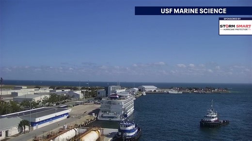 LIVE VIEW: Take a moment to enjoy a waterfront view of St. Pete from our USF Camera sponsored by Storm Smart. | FOX 13 News - Tampa Bay