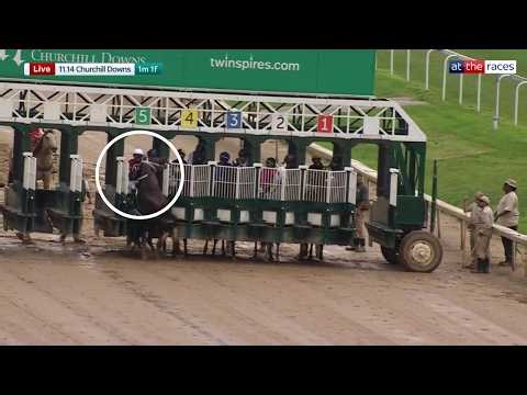 Pre-race drama couldn't stop Magnitude | 2026 Stephen Foster Stakes