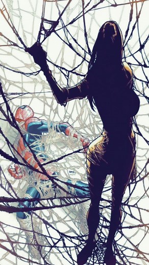 Silk: The Marvel Universe's New Spider-Woman