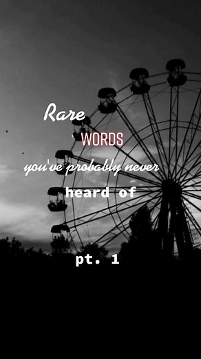 Uncommon Words and Their Meanings Revealed