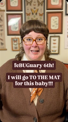 Emily | Insect Educator | Amateur Entomologist on Instagram: "I GOT TOO EXCITED I couldn’t wait to post 😭 sorry for the spoiler 😭😭😭 they’re sooo squiggly I love them sm!!! They can be found primarily in Chile (and maybe Argentina, reports vary). And a quick disclaimer: there’s not a whole lot published about these cuties, so some of this is general information about their family, Gonyleptidae! Endless thanks to @eldiego.glez for the concept and bug list behind FeBUGuary! – Video description: